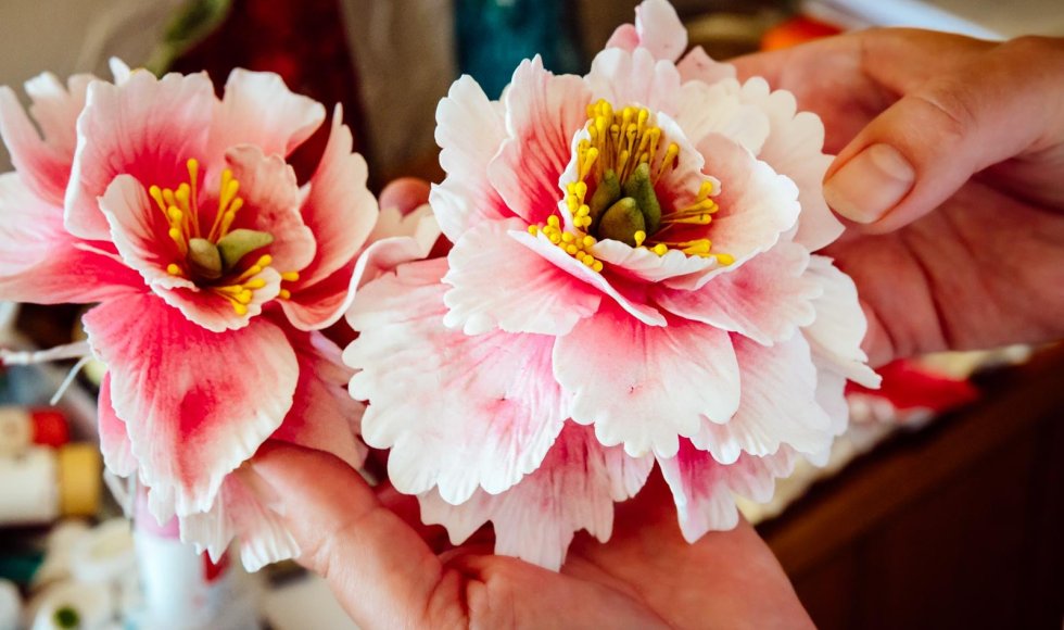 FLORYSTYKA CUKIERNICZA